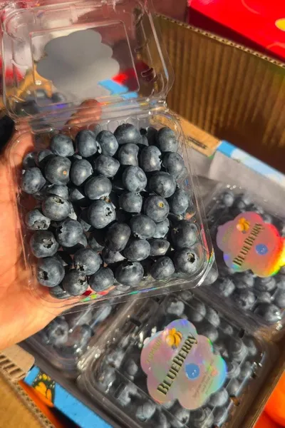 Blueberry import 