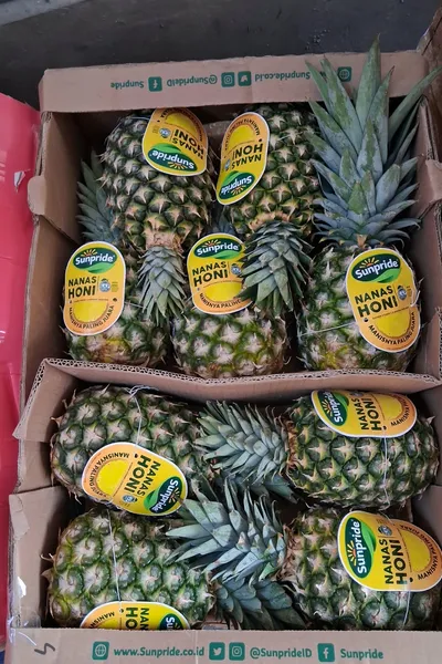 Nanas honi sunpride 