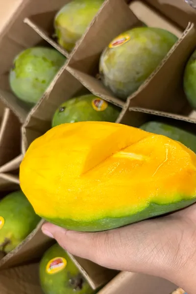 Mangga alpukat 