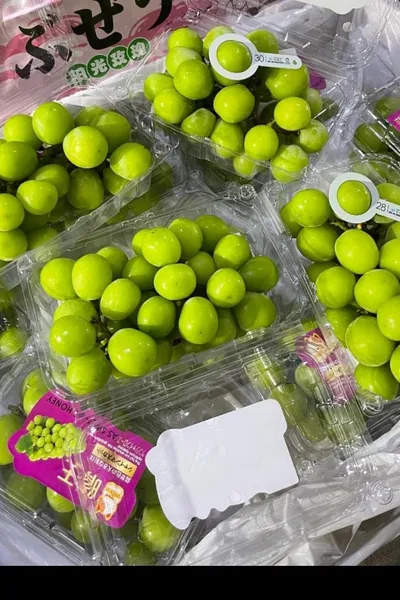 Anggur green muscat