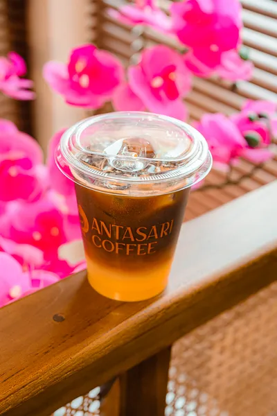 Americano series Manggo