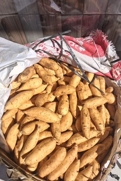 Ubi cilembu