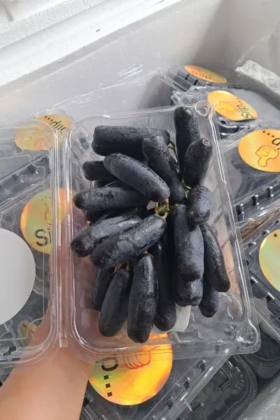 Anggur sweet saphire (pack) 