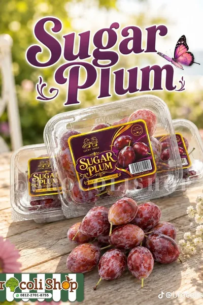 Sugar plum
